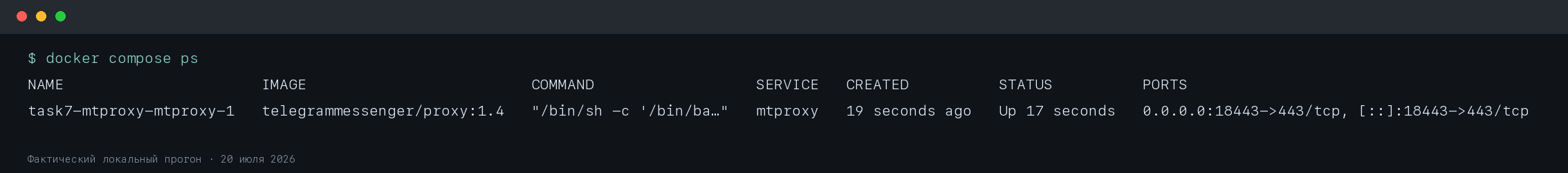 Фактический статус работающего контейнера MTProto proxy после запуска